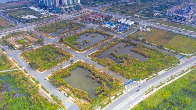 Các lô đất tại Thủ Thiêm sẽ được đưa ra đấu giá theo quy trình gồm 12 bước