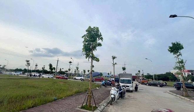 Nóng: Huyện Mê Linh đấu giá 32 lô đất, giá trúng cao nhất là 48,9 triệu đồng/m2