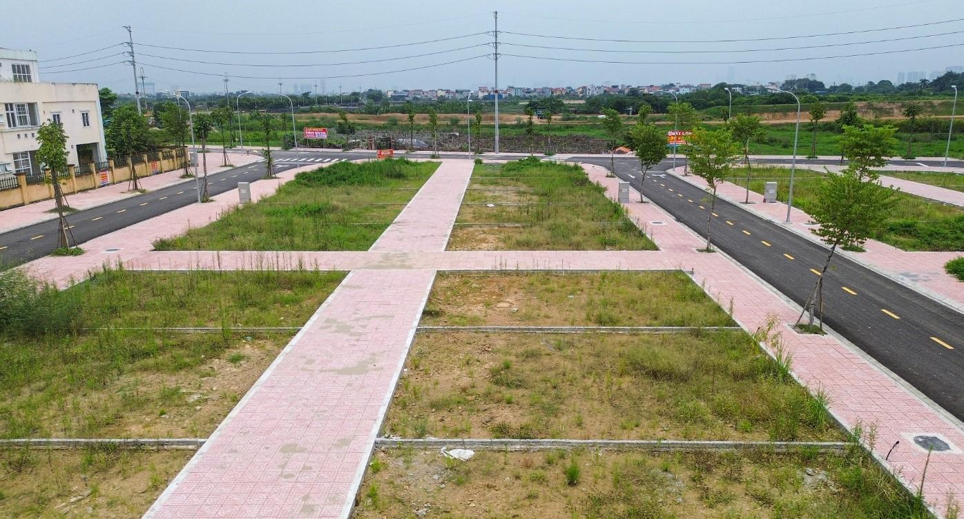 Đấu giá 20 lô đất ở Hoài Đức, giá trúng dự kiến hơn 100 triệu/m2