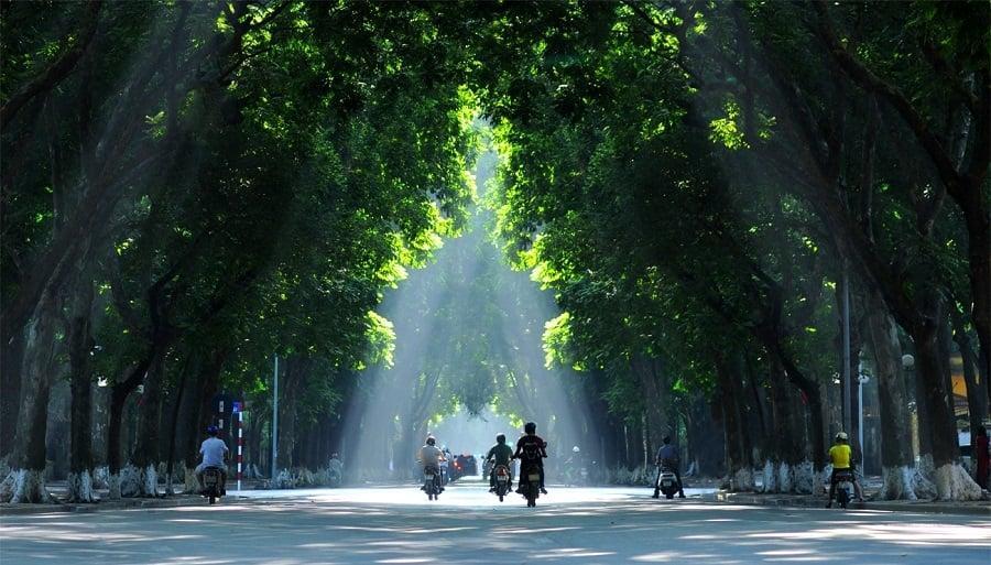 Bảng giá đất quận Ba Đình 2025: Hé lộ tuyến phố chạm mốc 450 triệu đồng/m2