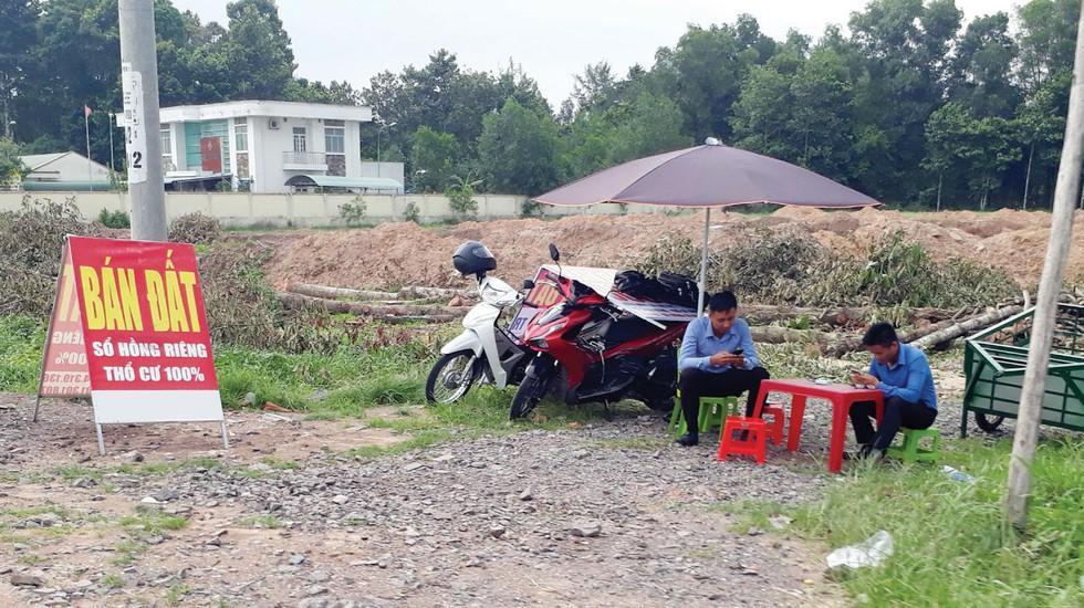 Đất nền 'bứt phá', thanh khoản cao gấp 3 lần chung cư trong năm 2024