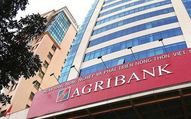 Khoản nợ hơn 161 tỷ của XNK Hoàn Cầu được đưa ra đấu giá, thế chấp bằng 75.814m2 đất tại Bình Thuận