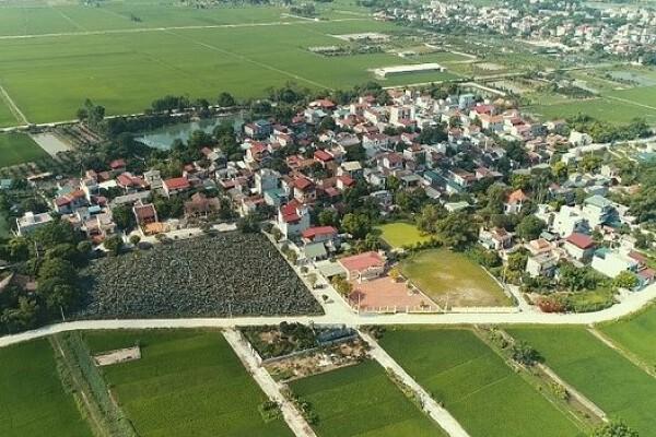 Thường Tín đấu giá khu đất gần 20.000 m2 xây nhà liền kề, khởi điểm hơn 278 tỷ đồng