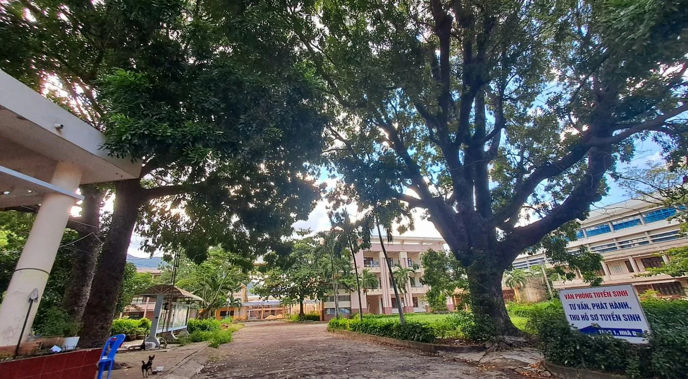 Đấu giá khu 'đất vàng' ven biển Quy Nhơn với giá khởi điểm hơn 1.100 tỷ đồng