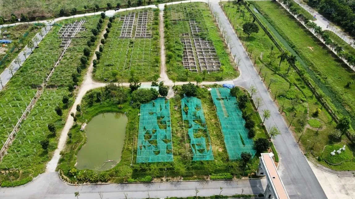 Hà Nội giao hơn 17ha đất ở Mê Linh cho doanh nghiệp xây khu đô thị mới