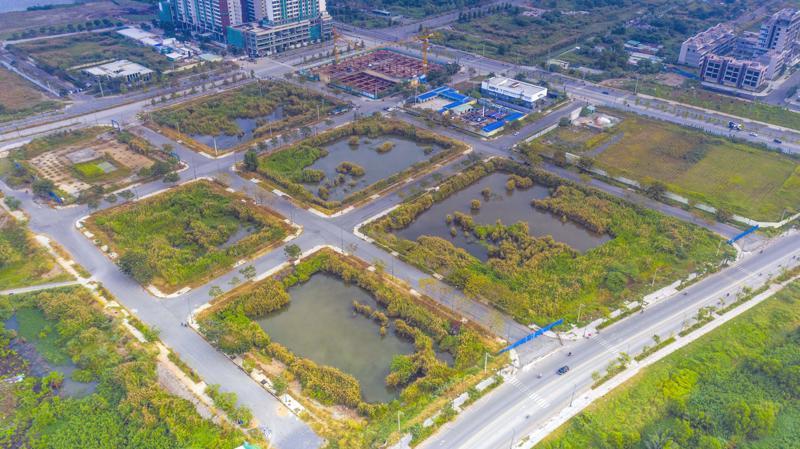 Thông tin đấu giá quyền sử dụng đất ngày mai (28/8/2024)