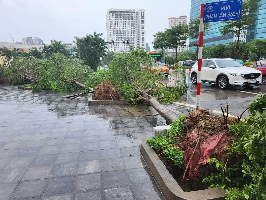 Sau bão Yagi: 'Cháy nhà ra mặt chuột'