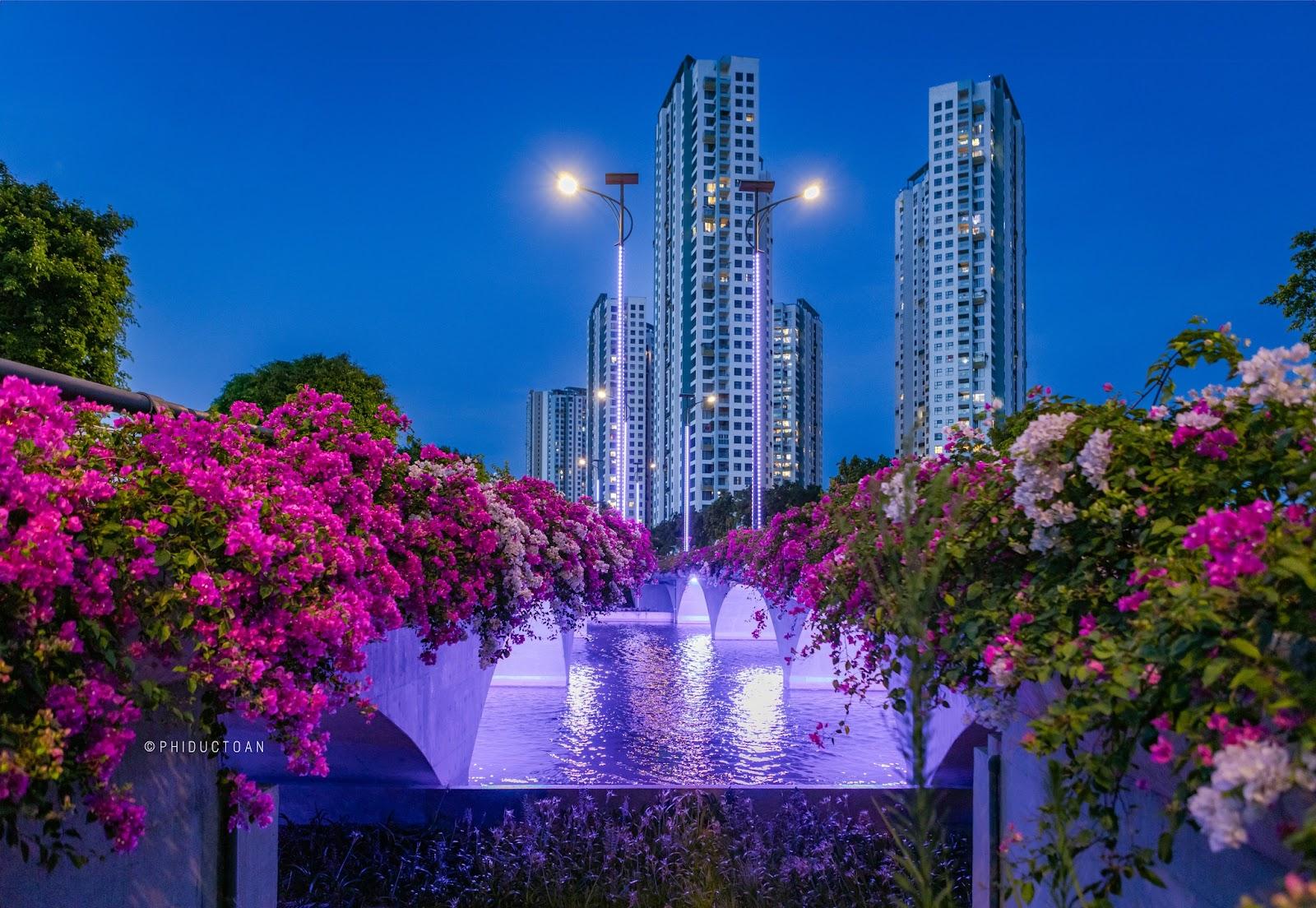 Ngắm hoa giấy đẹp hút hồn như chốn 'bồng lai tiên cảnh' ở Ecopark