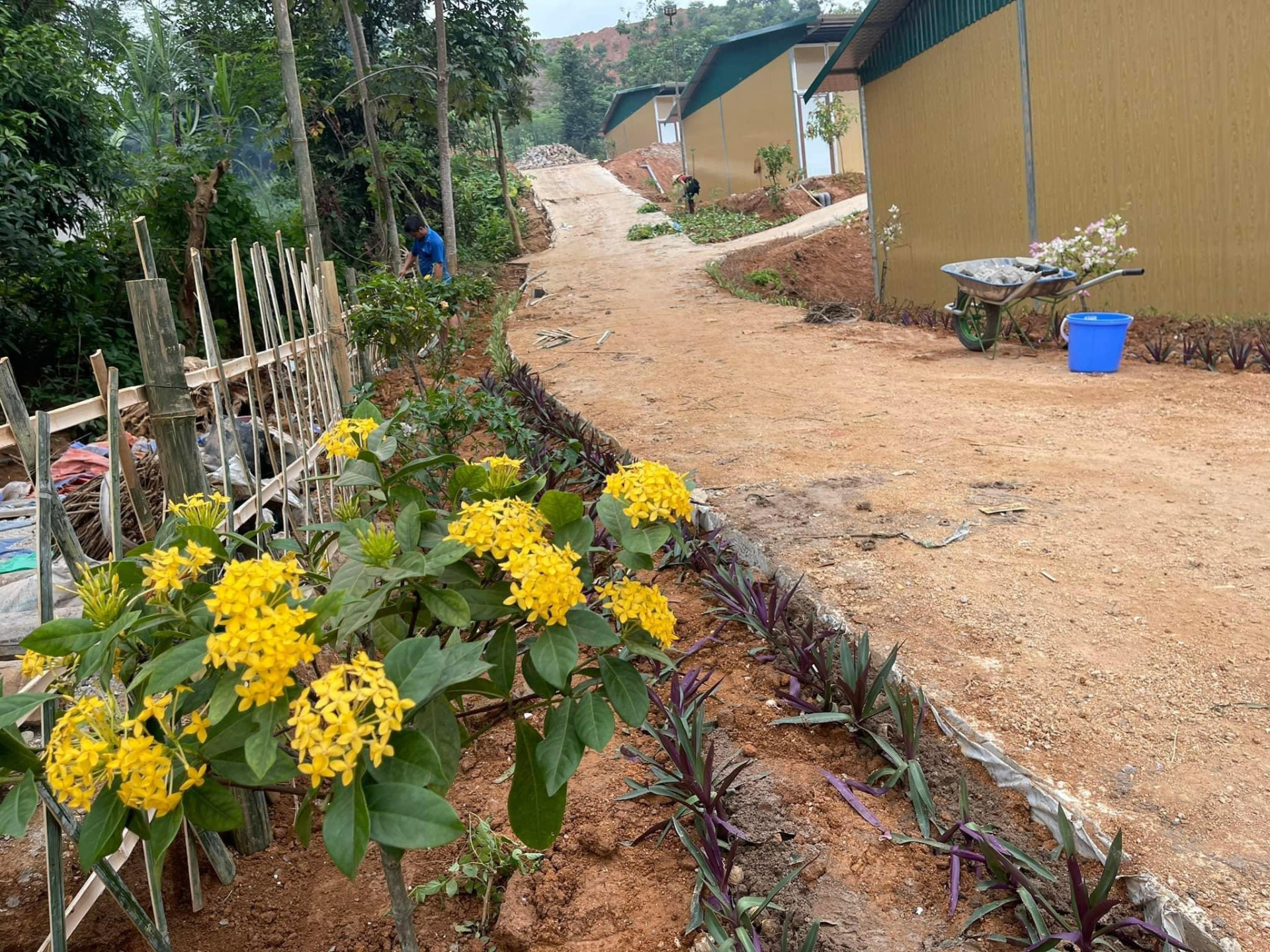 Hoa hồi sinh trên mảnh đất đau thương Làng Nủ