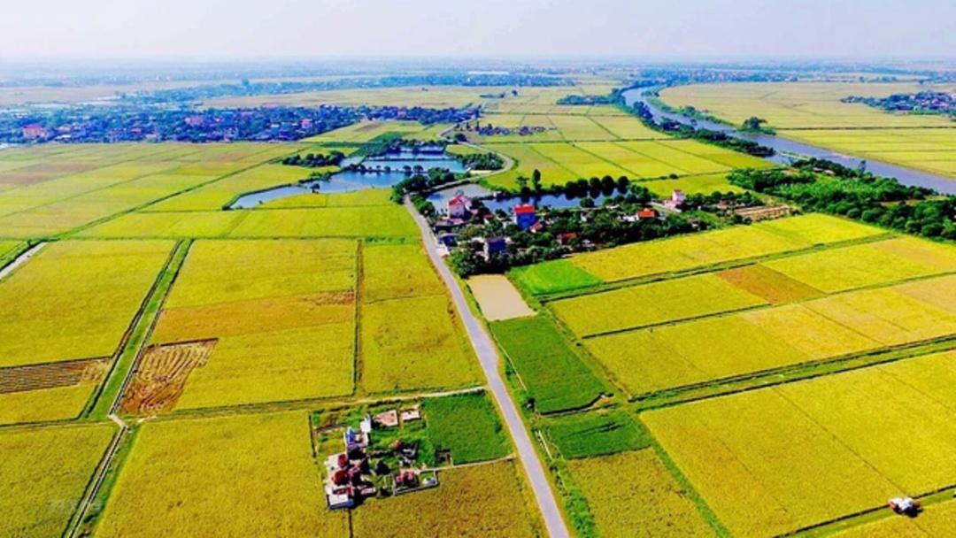 Bộ Tài chính đề xuất giảm mạnh chi phí chuyển đất nông nghiệp sang đất ở
