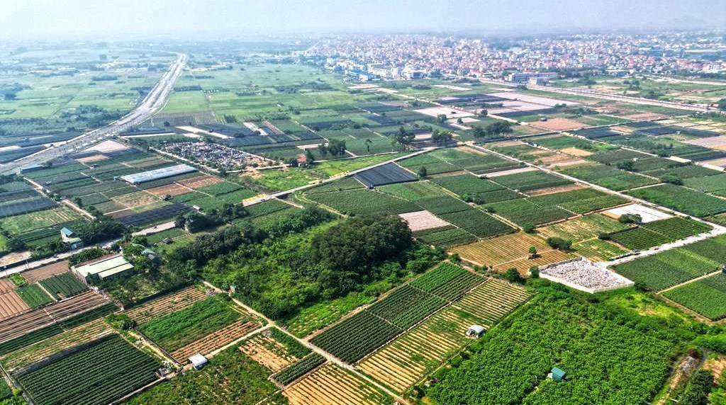 Hưng Yên đấu giá 178 suất đất, thấp nhất 10 triệu đồng/m²
