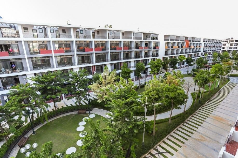 Cenland lãi tăng vọt, đẩy mạnh gom hàng tại Hoa Tiên và Eco Central Park