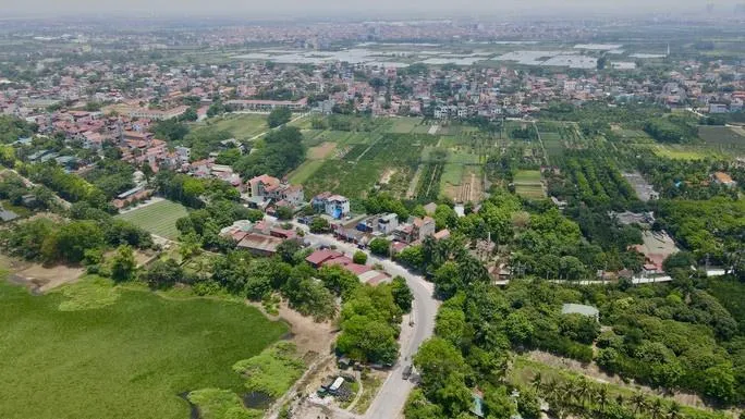 116 lô đất ở Phú Thọ sẽ được đấu giá với giá khởi điểm từ 3 triệu đồng/m²