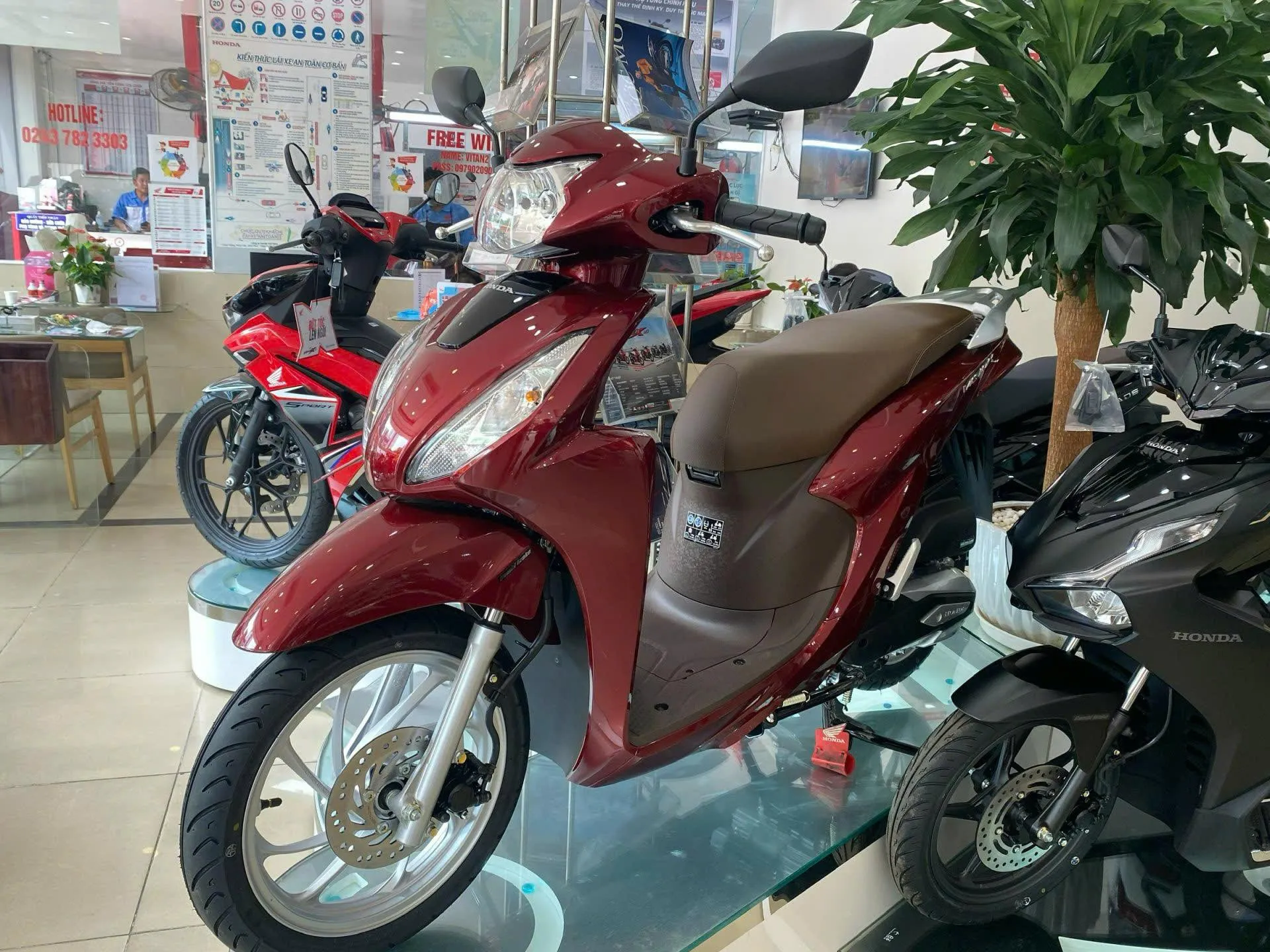 Lý giải sức hút khiến VinFast là số 1 trên thị trường xe máy điện Việt