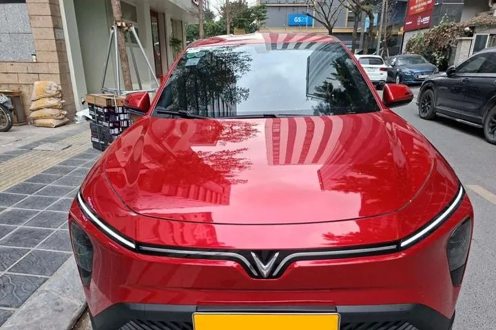 Chủ xe nói về quyết định chọn Limo Green: Chở gia đình ổn, chạy dịch vụ 'ra tiền đều'