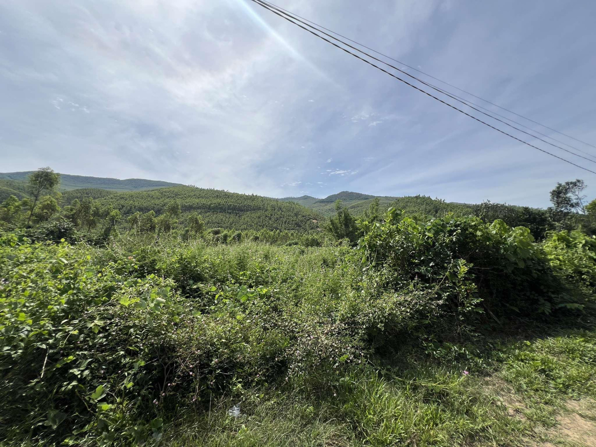 Đất view đẹp, bên suối, ven rừng ở Quảng Ninh 3 triệu/mét 