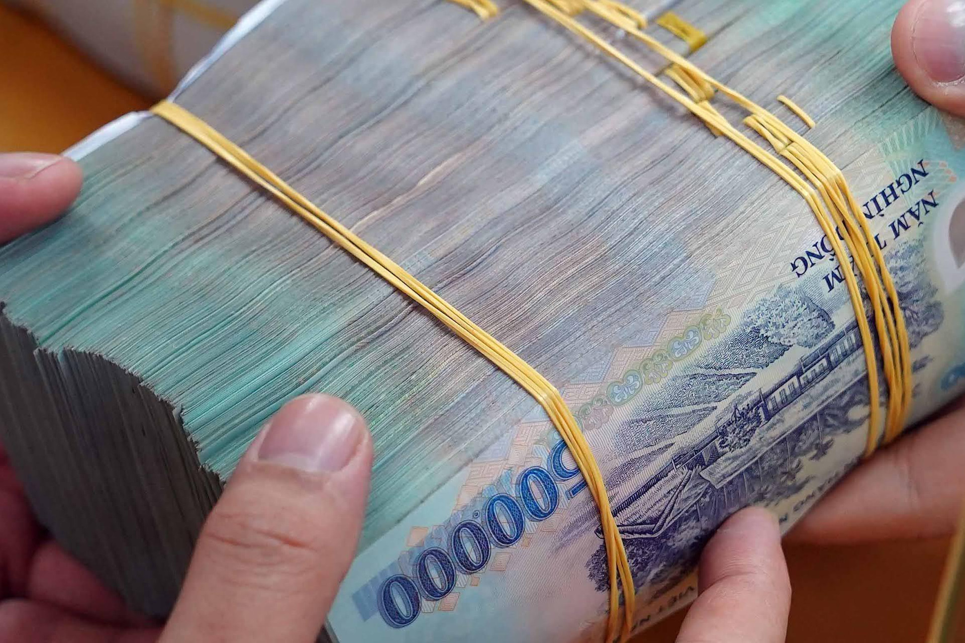 Người trúng đấu giá đất sau bao lâu thì phải nộp tiền sử dụng đất?