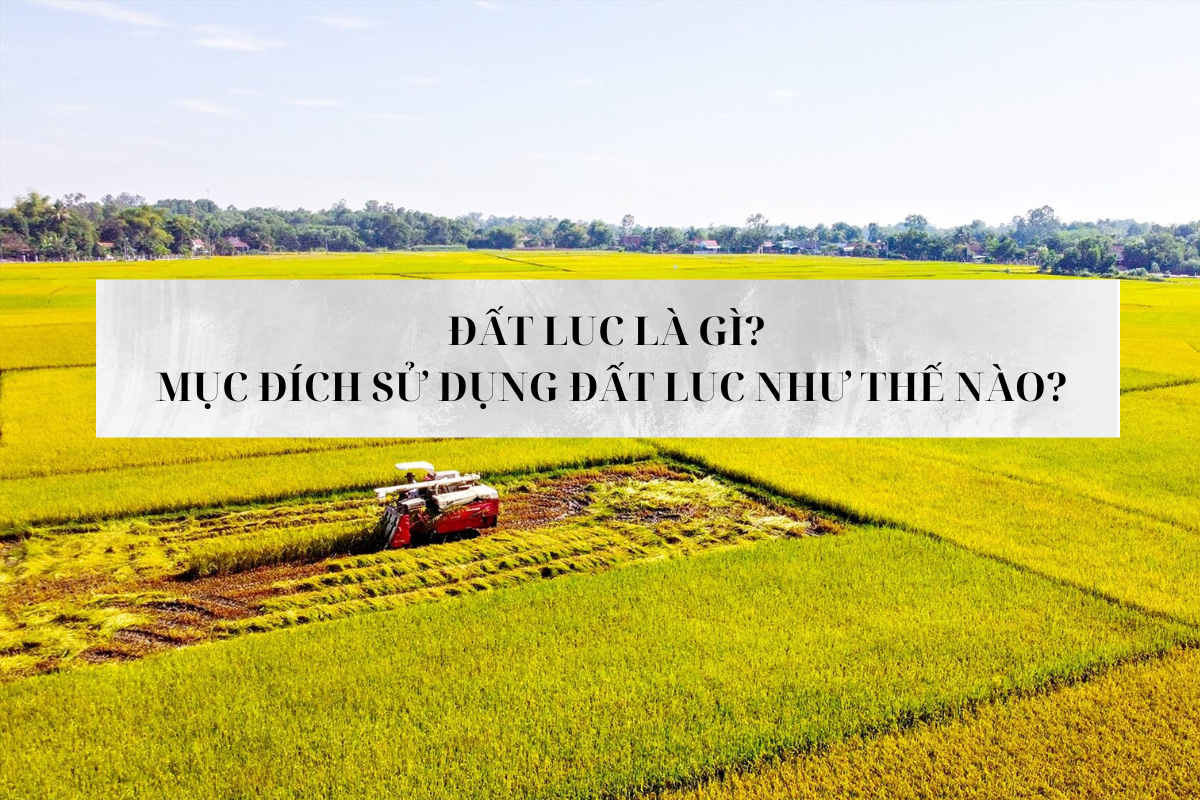 Đất LUC là gì? Mục đích sử dụng đất LUC như thế nào?