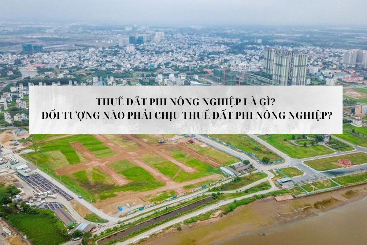 Thuế đất phi nông nghiệp là gì? Đối tượng nào phải chịu thuế đất phi nông nghiệp?