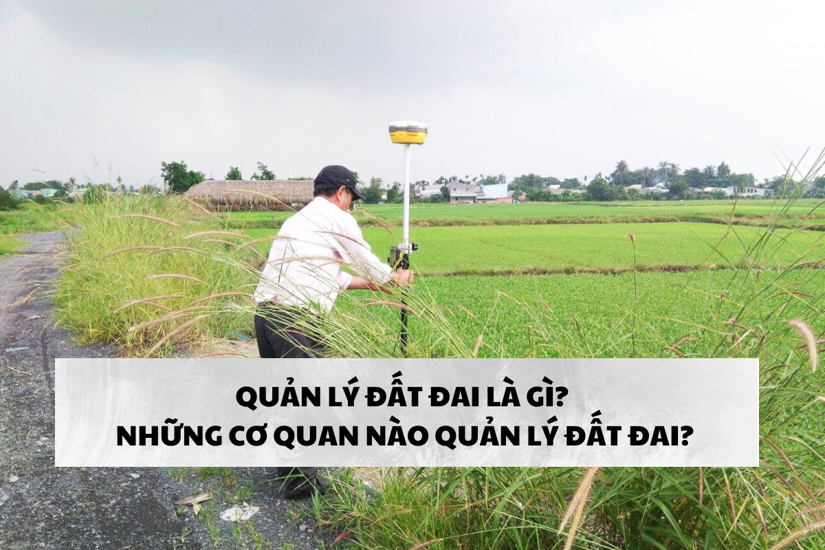 Quản lý đất đai là gì? Những cơ quan nào quản lý đất đai?