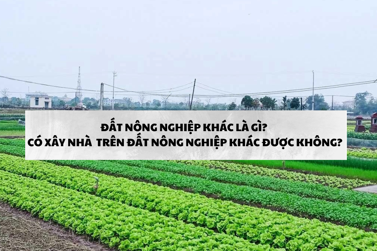 Đất nông nghiệp khác là gì? Có xây nhà trên đất nông nghiệp khác được không?