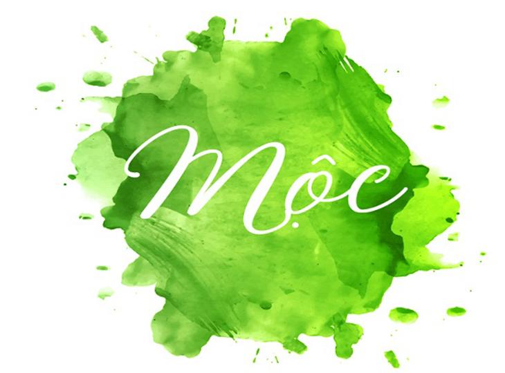 Lưu ý khi thiết kế nội thất cho người mệnh Mộc