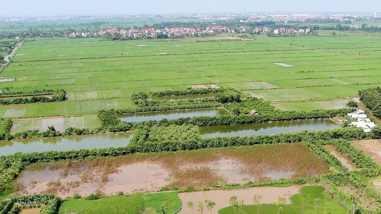 Đất 03 là gì? Đặc điểm của đất 03