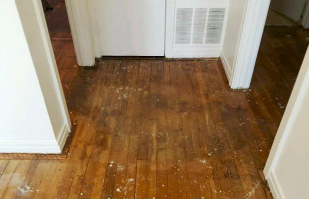 Cách xử lý sàn gỗ bị ngập nước sau cơn mưa bão