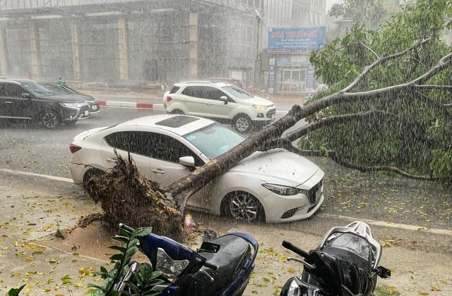 Dự báo thời tiết ngày mai 10/9: Mưa lũ phức tạp kéo dài ở 8 tỉnh thành