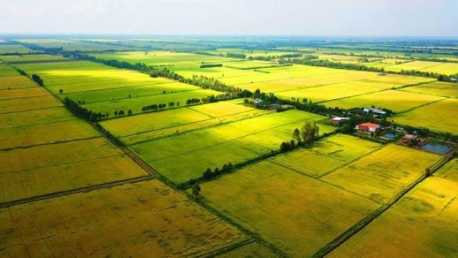Đất hết hạn sử dụng phải làm sao?