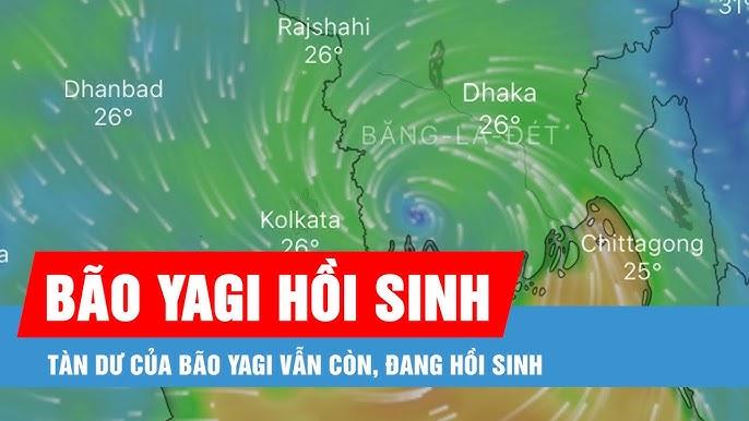 Tàn dư bão Yagi bất ngờ 'hồi sinh' mạnh lên thành áp thấp nhiệt đới
