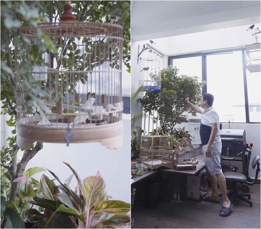 Hé lộ gia trang ngập tràn cây xanh và chim cảnh của nghệ sĩ Chí Trung