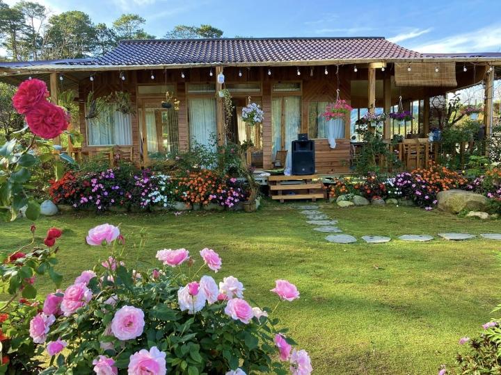 Ngôi nhà đẹp như cổ tích trên đồi ở Lâm Đồng khiến ai cũng muốn bỏ phố về quê