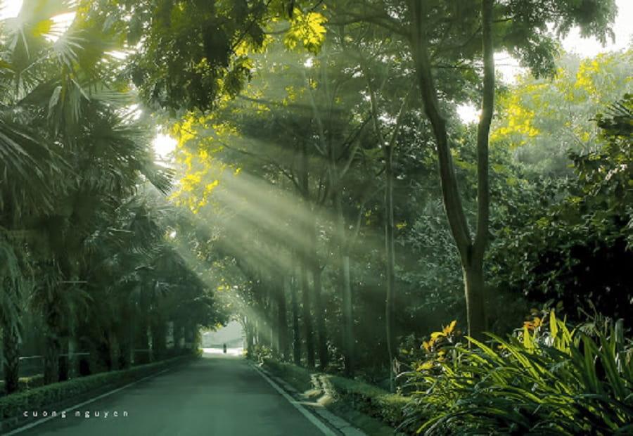 Ecopark của tập đoàn nào?