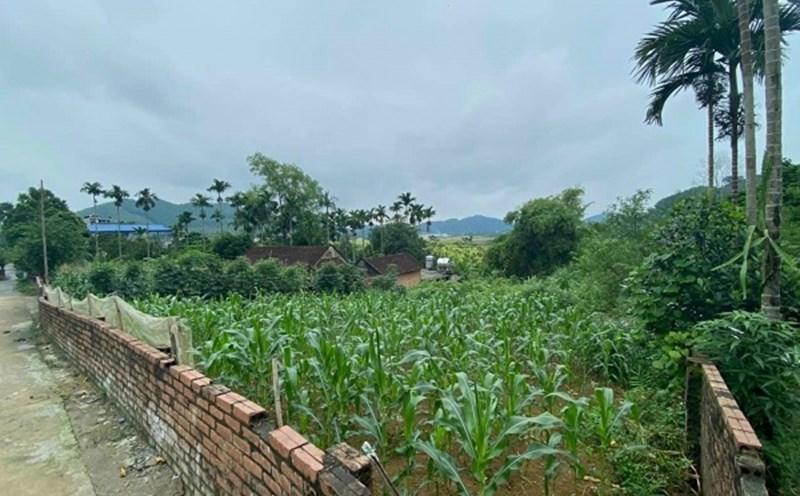 Có nên mua đất để dành không?