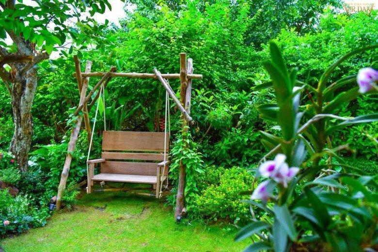 Cận cảnh loại cây 'nghìn trái' hái quanh năm trong khu vườn biệt thự 70 tỷ của Đàm Vĩnh Hưng