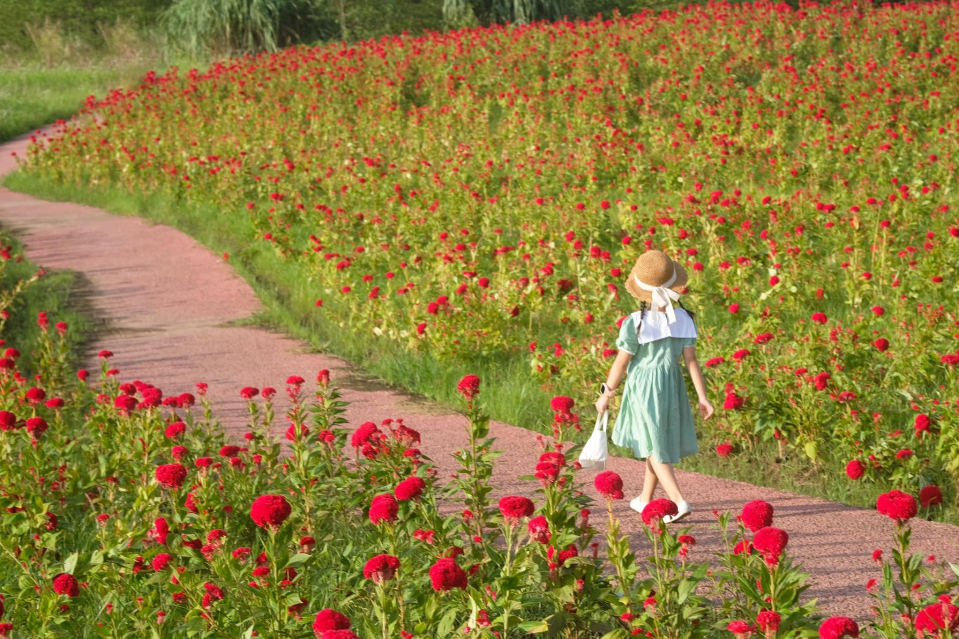 Mùa thu ở Ecopark đẹp như thế nào?