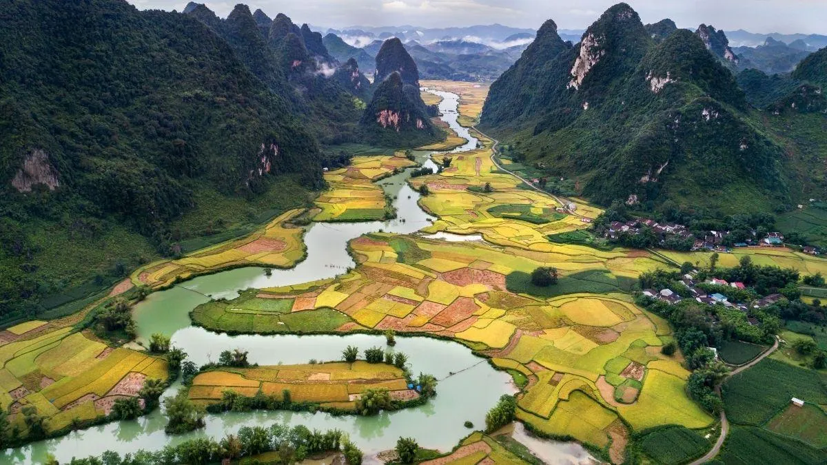 Một dân tộc mạnh là một dân tộc còn giữ được lòng nhân ái trong trái tim con người
