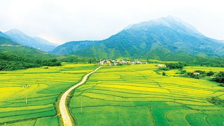 Tản văn: Đầm Hà