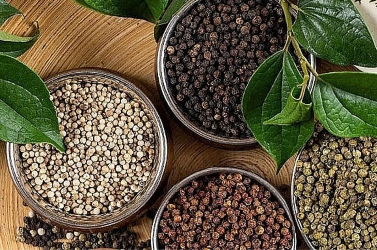 Địa chỉ các cửa hàng, đại lý phân phối hồ tiêu uy tín tại Hà Nội