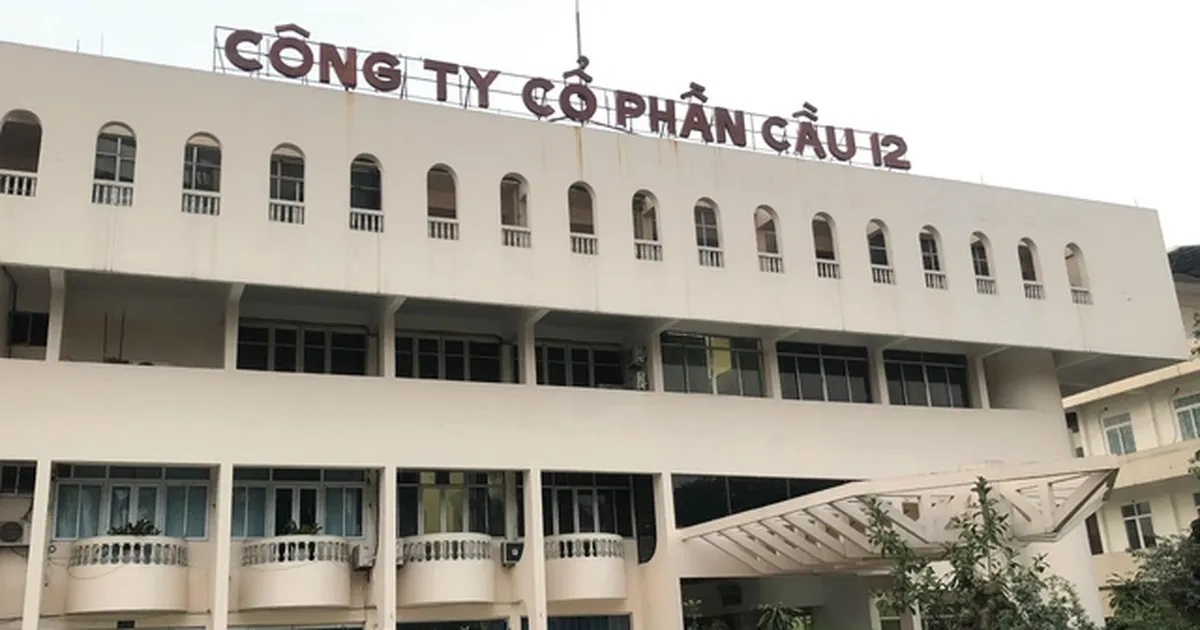 Cầu 12 xuất hiện trong danh sách nợ bảo hiểm, doanh nghiệp từng đạt doanh thu nghìn tỷ giờ ra sao?