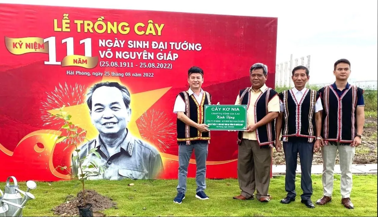 Tản văn: Cây Kơ Nia về với Hải Phòng
