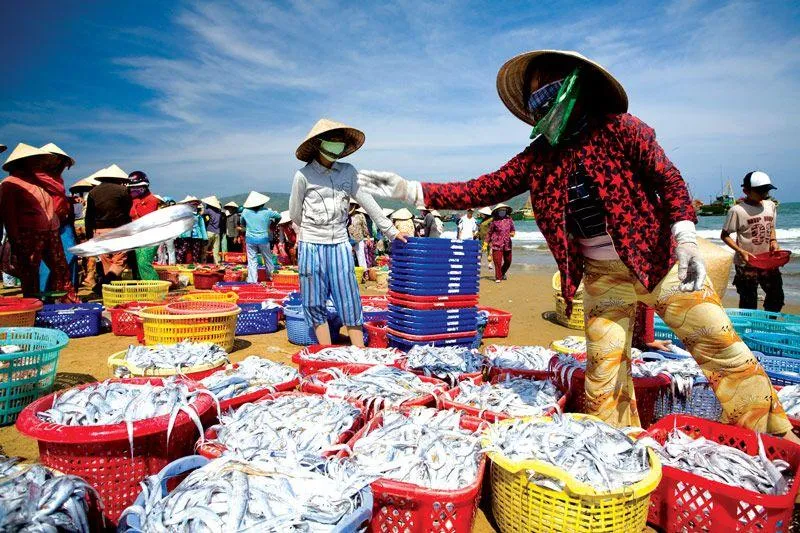 Địa chỉ mua hải sản tươi sống tại TP.HCM