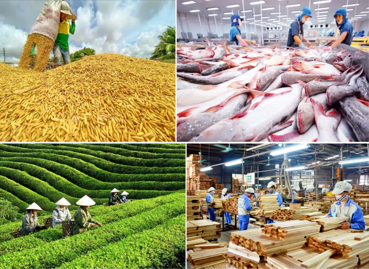 Sản xuất nông, lâm, thủy sản 8 tháng đầu năm tiếp đà tăng trưởng