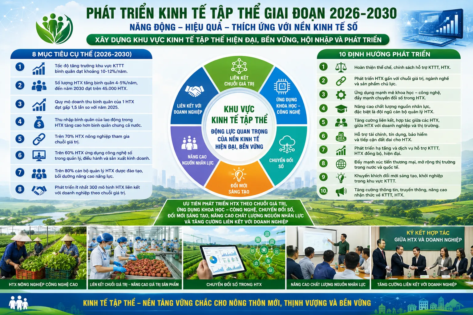 Kinh tế tập thể, hợp tác xã giữ vai trò 'hạt nhân' liên kết nông dân, doanh nghiệp và thị trường