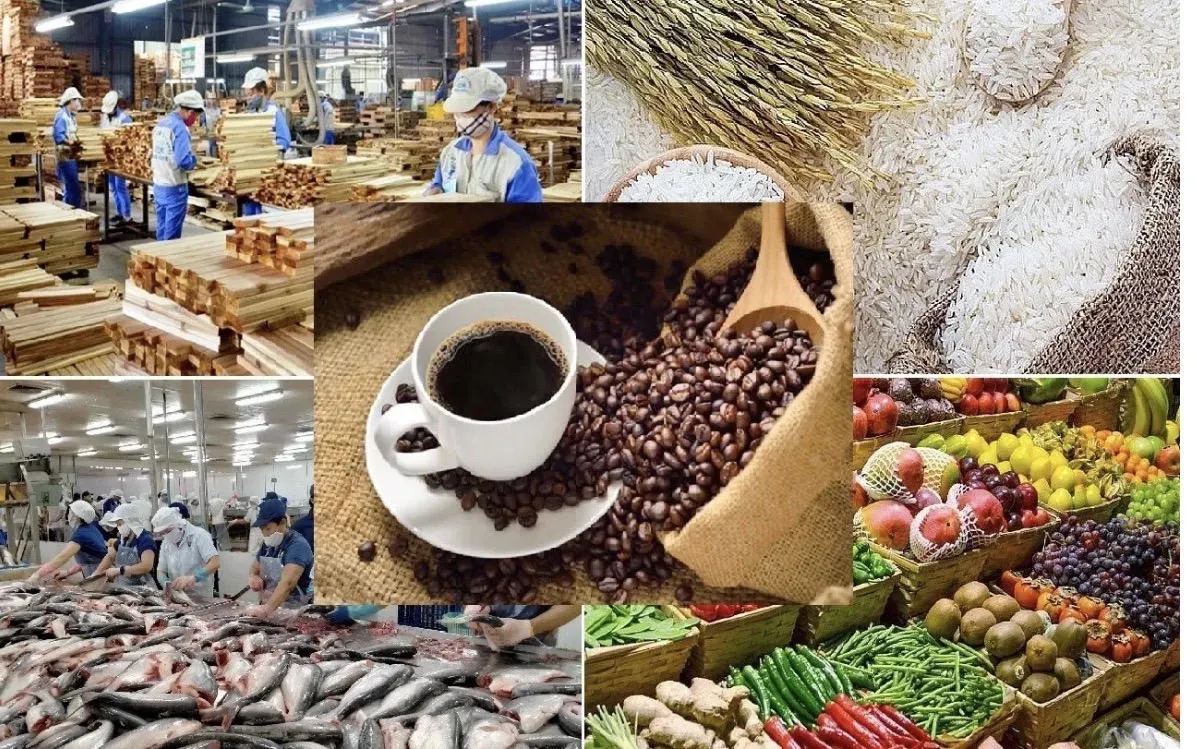 Chuẩn hóa dữ liệu hàng hóa, dịch vụ với Hệ thống ngành sản phẩm Việt Nam