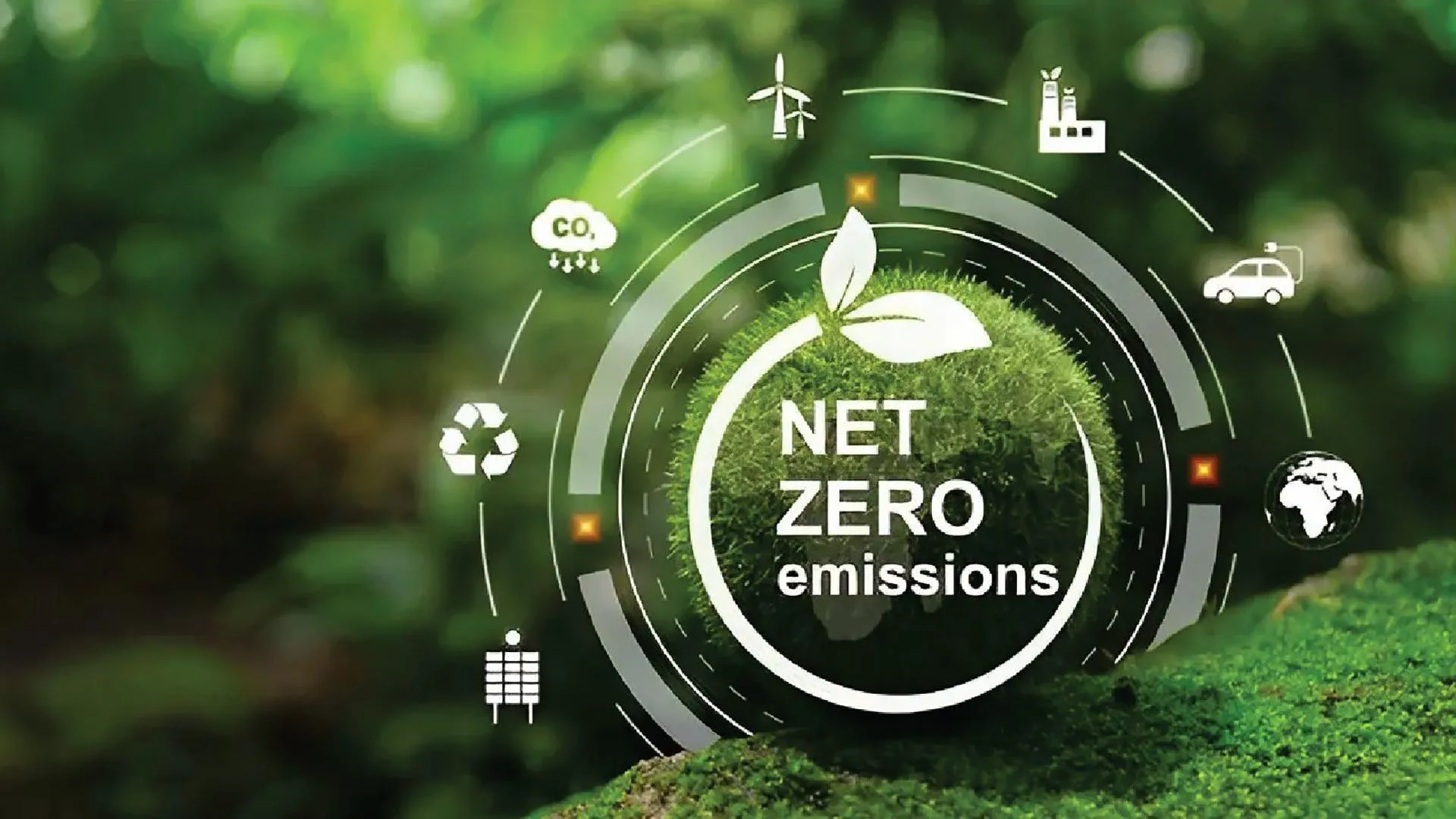 Doanh nghiệp giữ vai trò trung tâm trên hành trình hiện thực hóa mục tiêu Net Zero