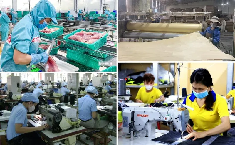 Khi tăng trưởng kinh tế thúc đẩy chuyển dịch doanh nghiệp và thị trường lao động