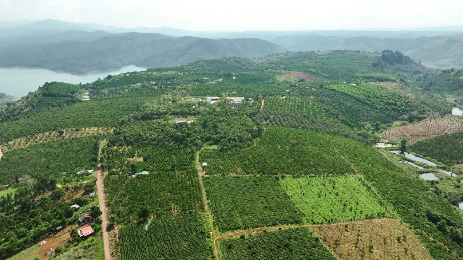 Phát triển sinh kế xanh, tạo nền tảng cho tăng trưởng bền vững tại Lâm Đồng
