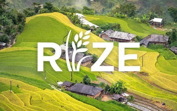 Startup AgriTech Rize huy động 31 triệu USD mở rộng canh tác lúa bền vững Đông Nam Á